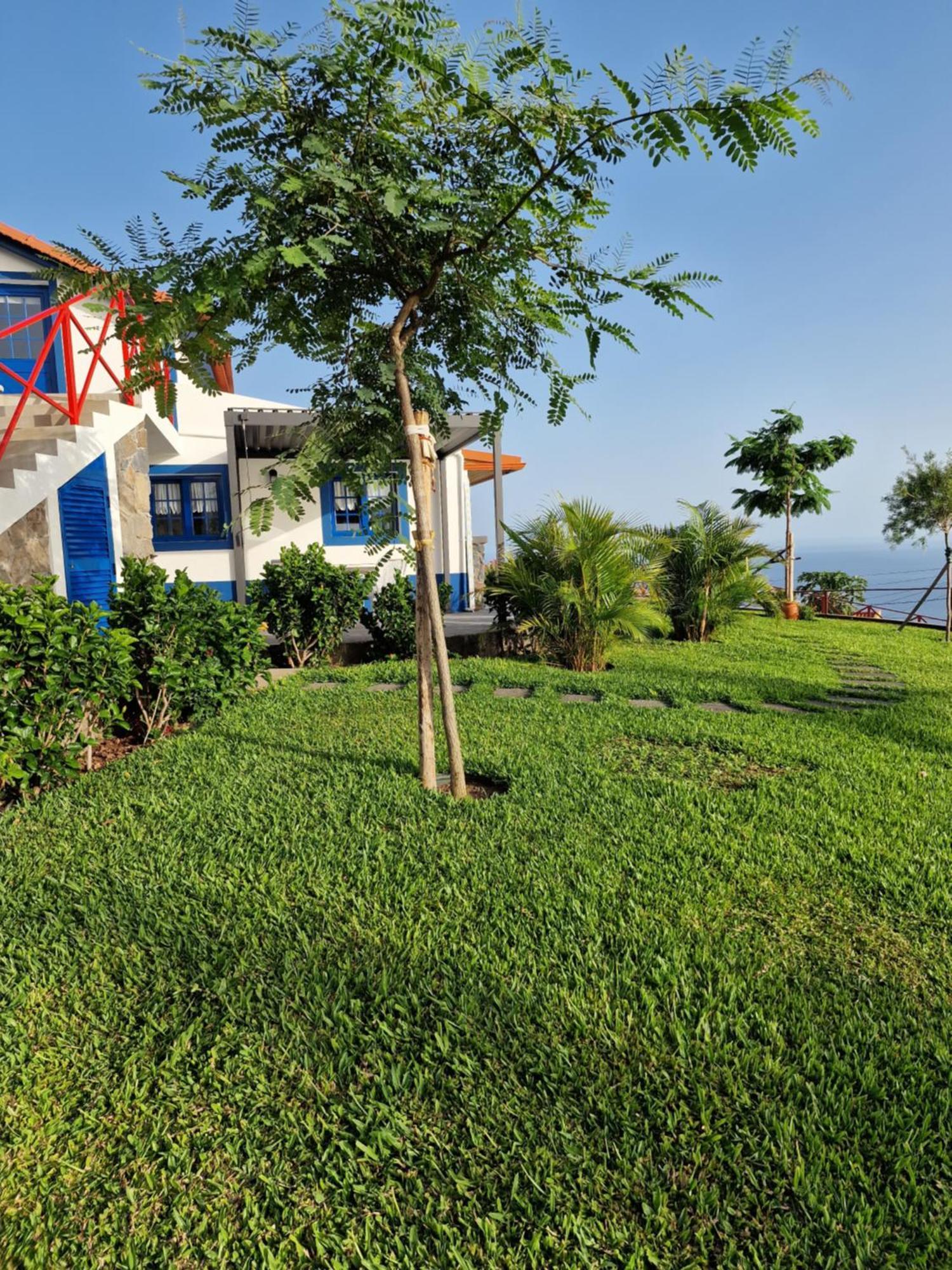 ריביירה בראבה Casa Villa Dinastia Sotao Y Casa Villa Dinastia Miramar מראה חיצוני תמונה