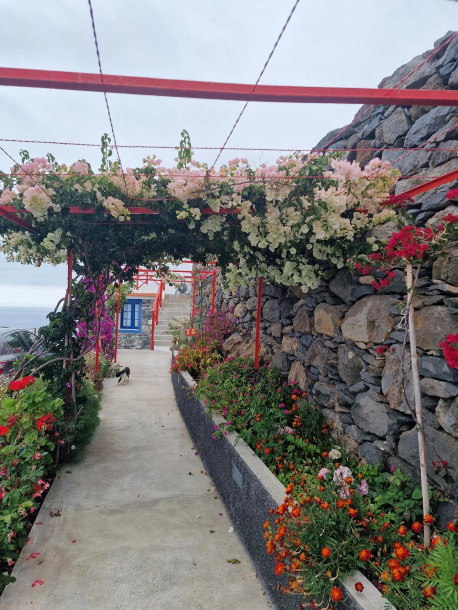 ריביירה בראבה Casa Villa Dinastia Sotao Y Casa Villa Dinastia Miramar מראה חיצוני תמונה